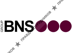 BNS group